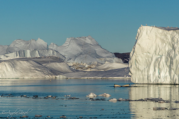 Ilulissat Icefiord