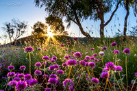 Images of Australia