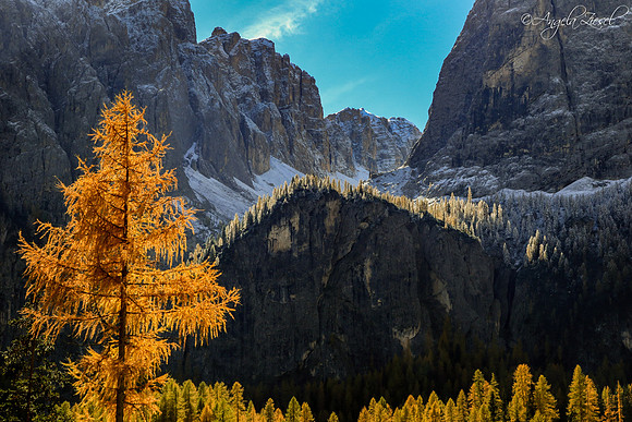 Dolomites