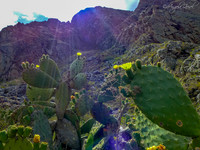 Images of Peru