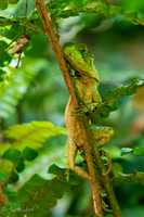 Images of Ecuador